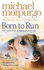 Best Mate-the Many Lives of One Incredible Dog