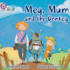 Meg, Mum and the Donkey: Band 02b/Red B