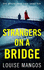 Strangers on a Bridge: a Gripping Debut Psychological Thriller!