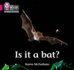 Is It a Bat? : Band 01b/Pink B (Collins Big Cat Phonics for Letters and Sounds)