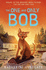 One and Only Bob