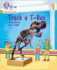 Track a T-Rex: Phase 4 Set 1 (Big Cat Phonics for Little Wandle Letters and Sounds Revised)