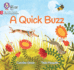 Quick Buzz: Phase 2 Set 5 Blending Practice