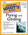 Complete Idiot's Guide to Flying and Gliding