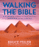 Walking the Bible (Children's Edition): an Illustrated Journey for Kids Through the Greatest Stories Ever Told