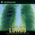 Lungs: Your Respiratory System