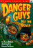 Danger Guys Hit the Beach (Trophy Chapter Book, 4)