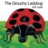 The Grouchy Ladybug (English and Hindi Edition)