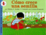 Como Crece Una Semilla: How a Seed Grows (Spanish Edition) = How a Seed Grows