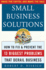 Small Business Solutions: How to Fix and Prevent the 13 Biggest Problems That Derail Business