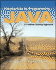 Introduction to Programming With Java a Problem Solving Approach