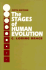 Stages of Human Evolution