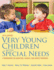 Very Young Children With Special Needs: a Foundation for Educators, Families, and Service Providers--Pearson Etext