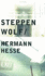 Hermann Hesse: Steppenwolf