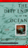 The Deep End of the Ocean: a Novel