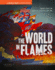 The World in Flames: a World War II Sourcebook