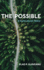 The Possible: a Sociocultural Theory