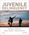 Juvenile Delinquency Causes and Control