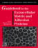 Guidebook to the Extracellular Matrix and Adhesion Proteins