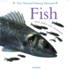 Fish and Other Sea Creatures (Animal Close-Ups)