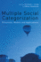 Multiple Social Categorization: Processes, Models, and Applications