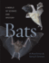 Bats  a World of Science and Mystery