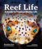 Reef Life: a Guide to Tropical Marine Life