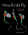 How Birds Fly: the Science and Art of Avian Flight