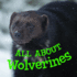All About Wolverines: English Edition (Nunavummi)