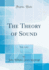 The Theory of Sound, Vol. 1 of 2 (Classic Reprint)