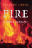 Fire: a Brief History (Weyerhaeuser Environmental Books)