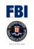 The Fbi: a History (Pb)