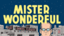Mister Wonderful: a Love Story (Pantheon Graphic Library)