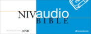 Niv Audio Bible Voice Only Cassette