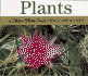 Plants: a Golden Photo Guide From St. Martin's Press