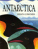Antarctica (Picture Books)