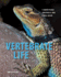 Vertebrate Life: United States Edition