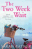 The Two Week Wait. By Sarah Rayner