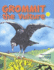 Grommit the Vulture