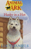 Husky in a Hut (Animal Ark Series #36)