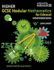 Higher Gcse Modular Maths for Edexcel