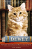 Dewey: the Small-Town Library-Cat Who Touched the World