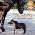 Thumbelina: the World's Smallest Horse (Pictureback(R))