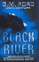 Black River: a Novel