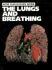The Lungs and Breathing (How Our Bodies Work) Lambert, Mark