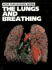 The Lungs and Breathing (How Our Bodies Work)