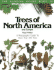 Trees of North America and Europe/a Photographic Guide to More Than 500 Trees