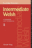 Intermediate Welsh: a Grammar and Workbook (Grammar Workbooks) (English and Welsh Edition)