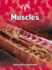 Muscles (Body Focus)