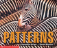 Patterns (Emergent Readers)